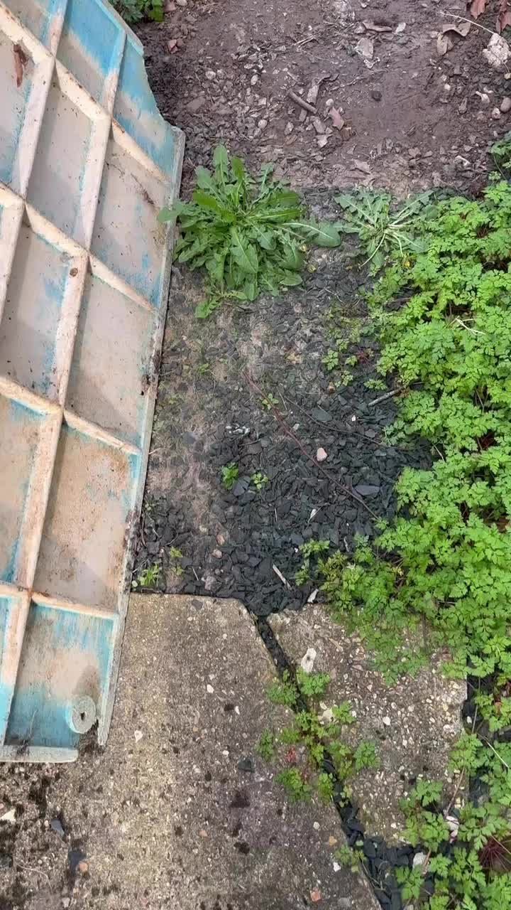 Instagram post from ss_pestcontrol_ltd. This post is in position 2.